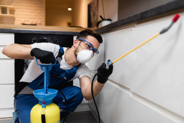 Reliable Alice, TX Pest Control Solutions