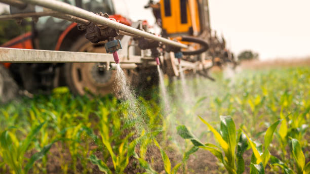 Best Mosquito Control Services  in Alice, TX
